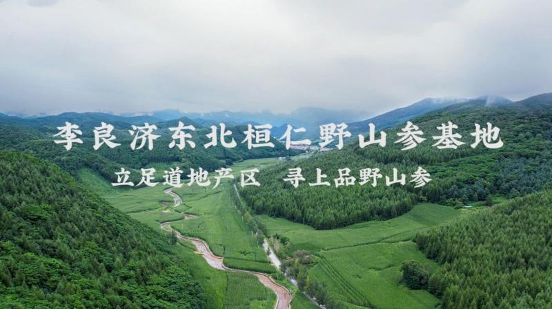 微信圖片_20250319163711.jpg