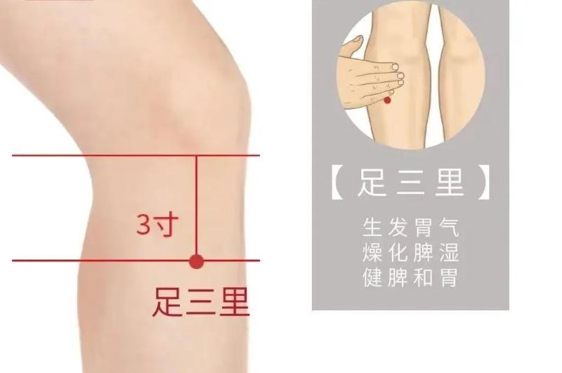 微信圖片_20250319163819.jpg